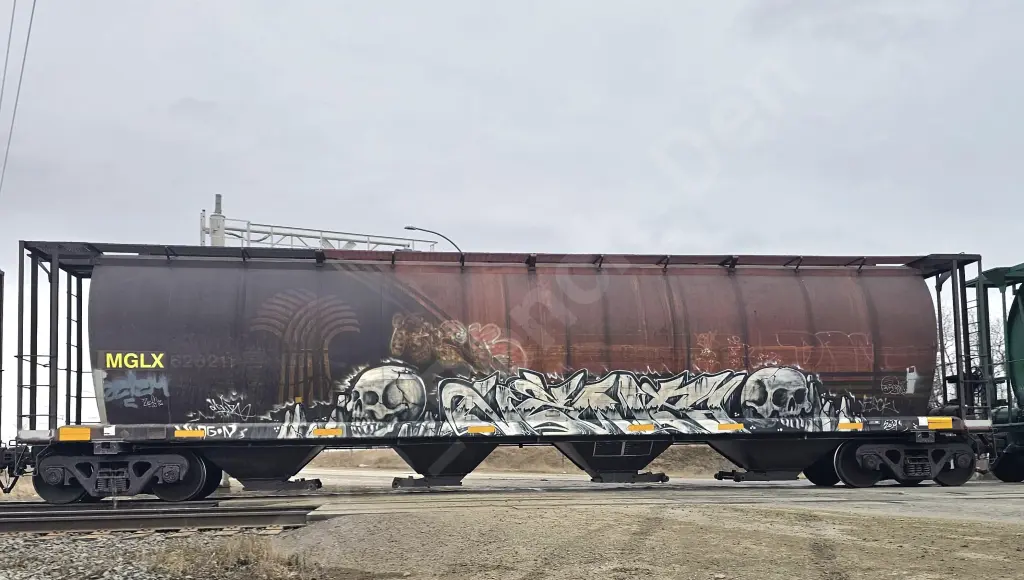 MGLX626211 - NORTH-AMERICA