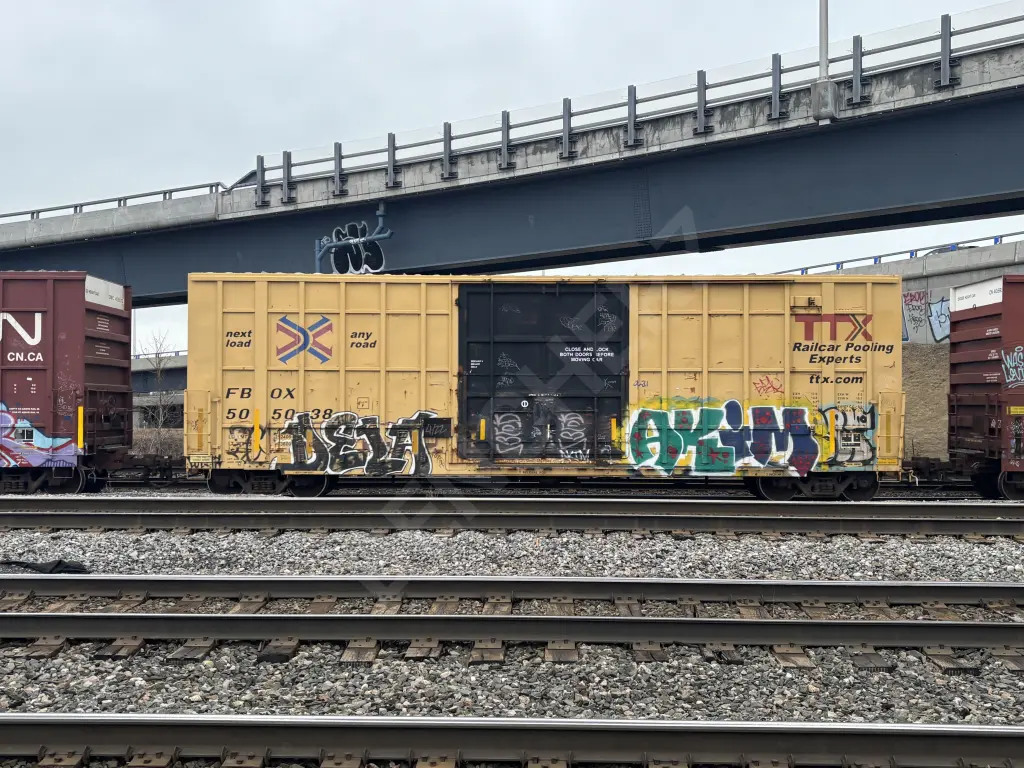 FBOX505038 - NORTH-AMERICA