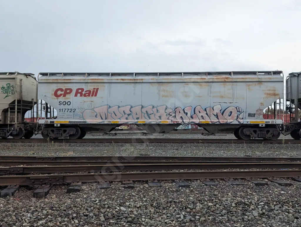 SOO117722 - NORTH-AMERICA