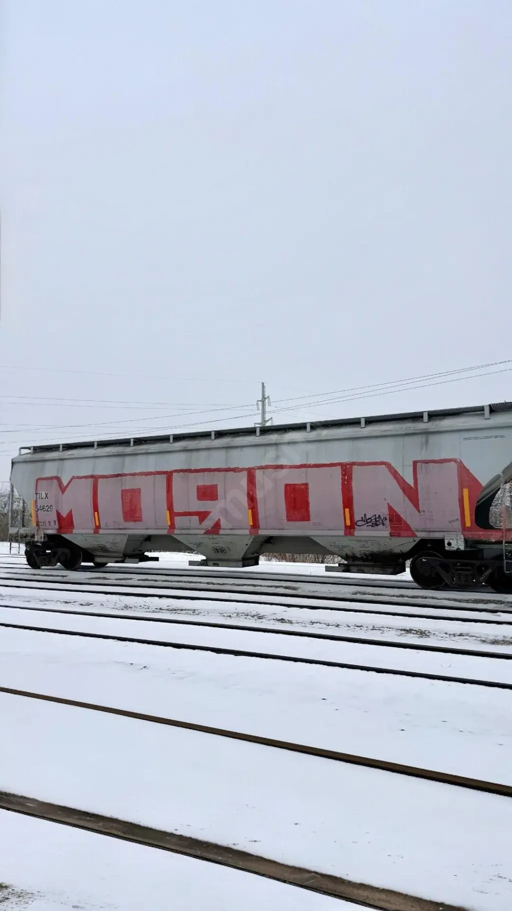 TILX54629 - NORTH-AMERICA