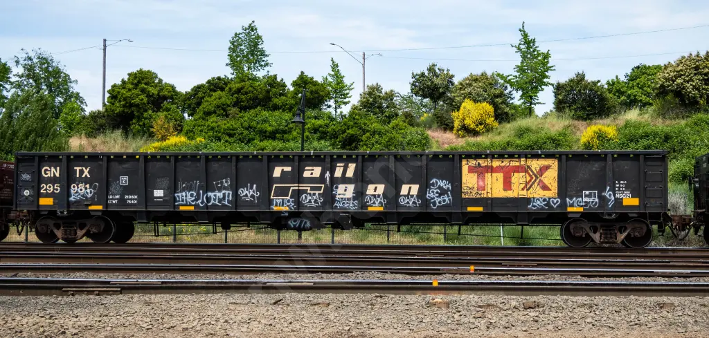 GNTX295981 - NORTH-AMERICA