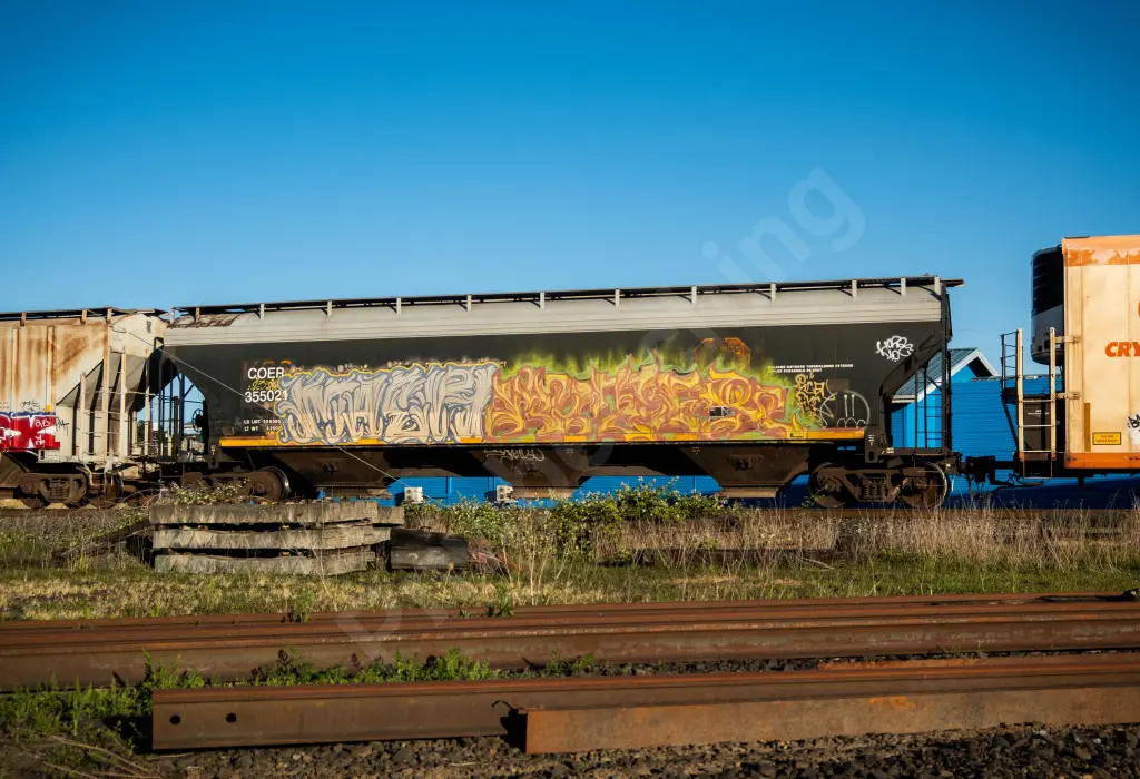 COER355021 - NORTH-AMERICA