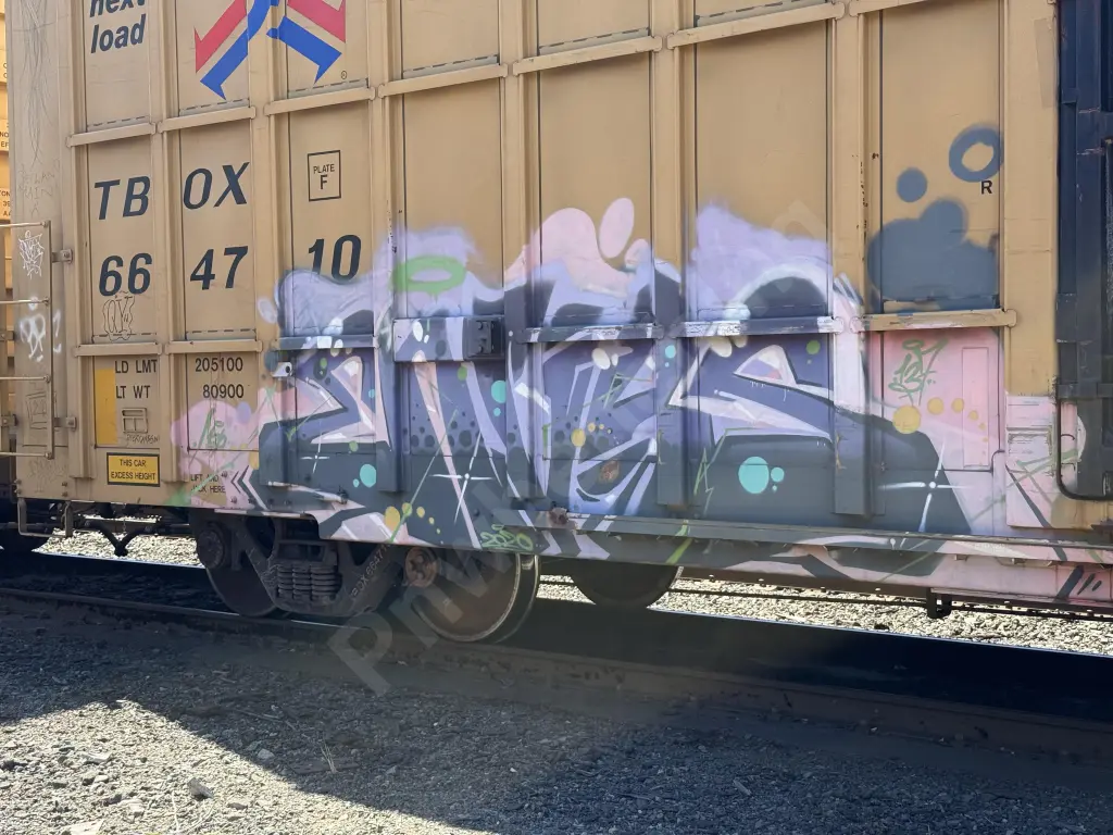 TBOX664710 - NORTH-AMERICA