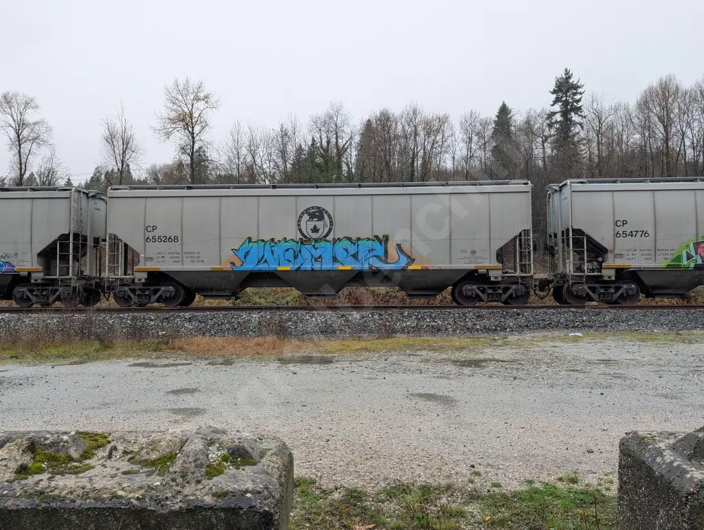 CP655268 - NORTH-AMERICA