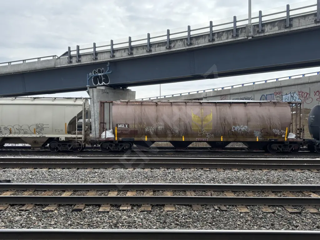 MGLX396762 - NORTH-AMERICA
