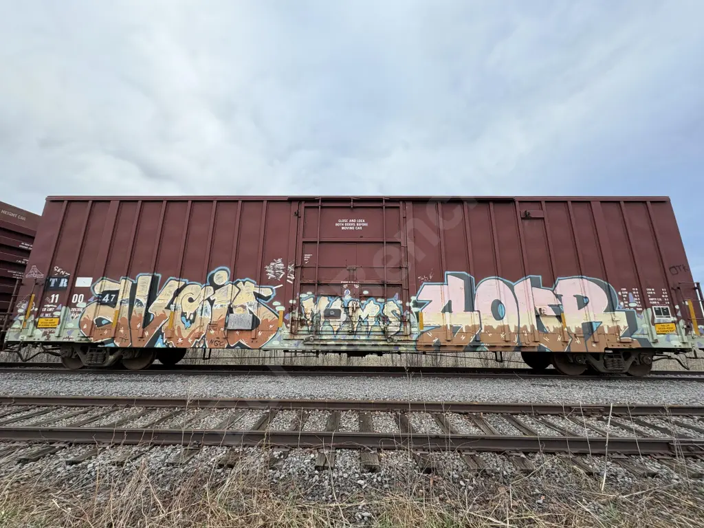 TR110047 - NORTH-AMERICA