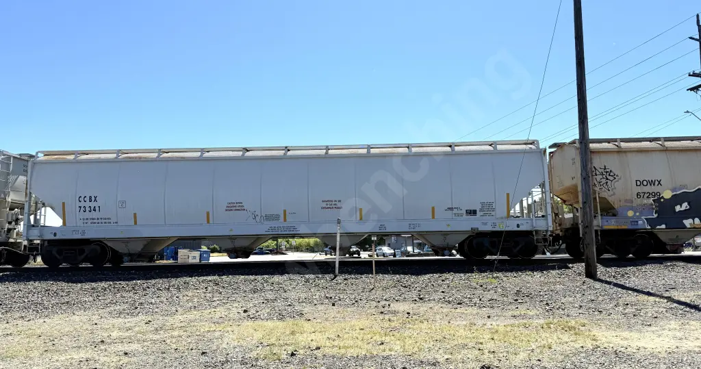 CCBX73341 - NORTH-AMERICA