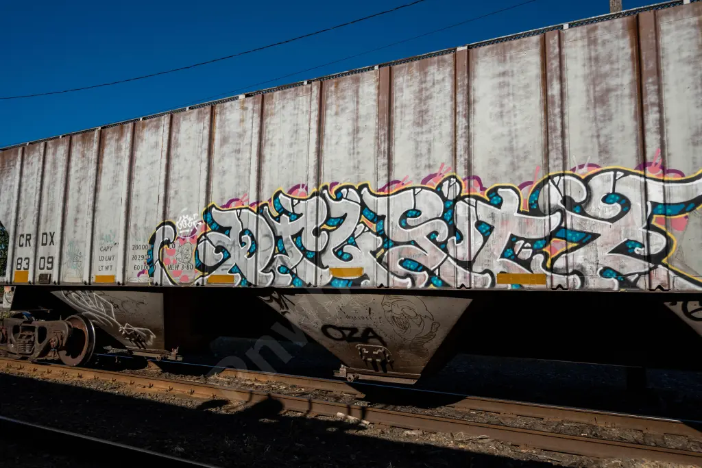 CRDX8309 - NORTH-AMERICA