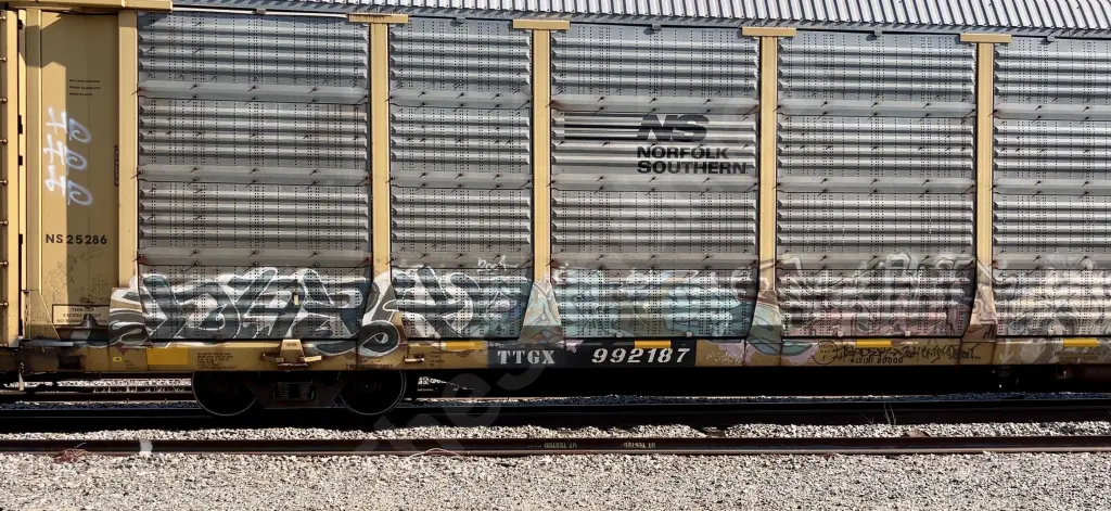 TTGX992187 - NORTH-AMERICA