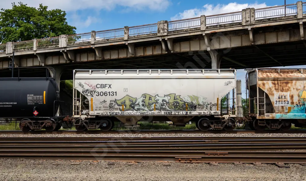 CBFX306131 - NORTH-AMERICA