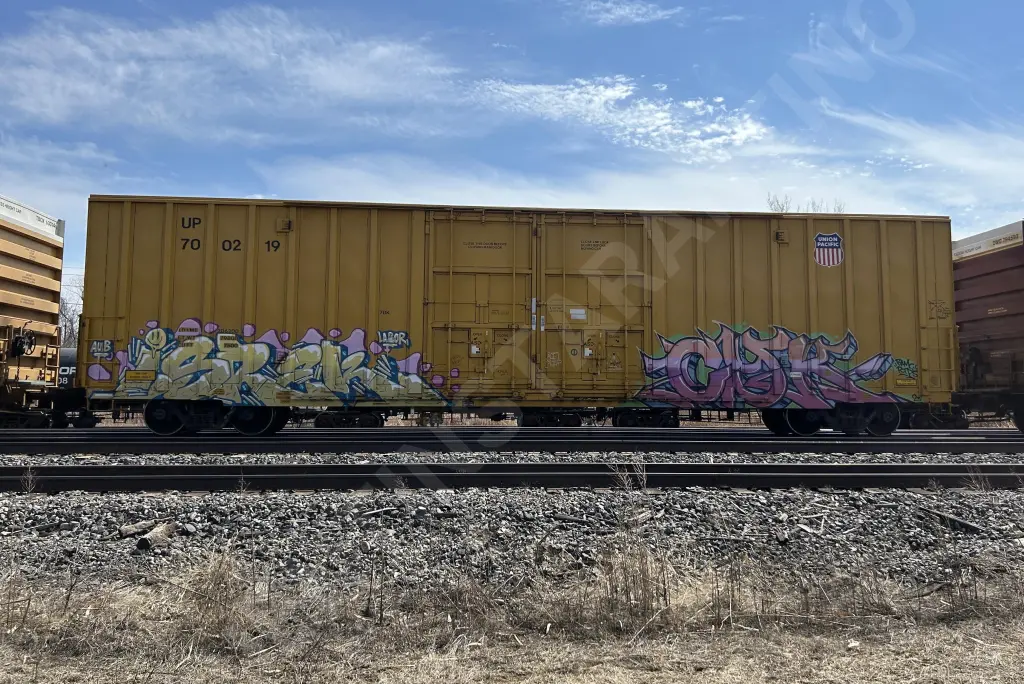 UP700219 - NORTH-AMERICA