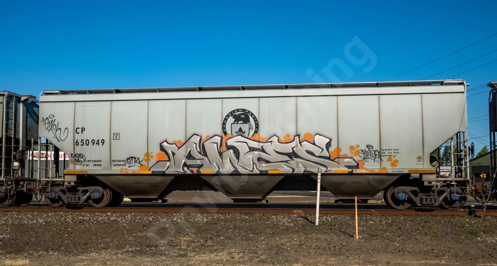 CP650949 - NORTH-AMERICA