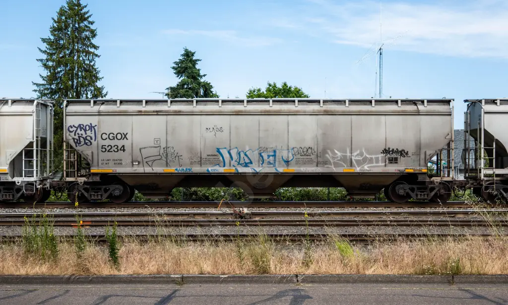 CGOX5234 - NORTH-AMERICA
