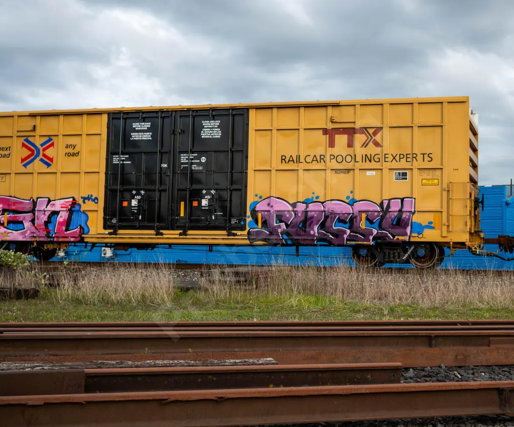 TBOX636307 - NORTH-AMERICA