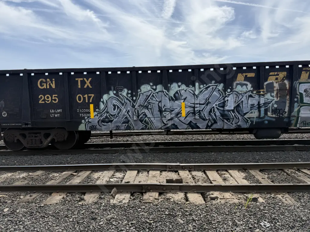 GNTX295017 - NORTH-AMERICA