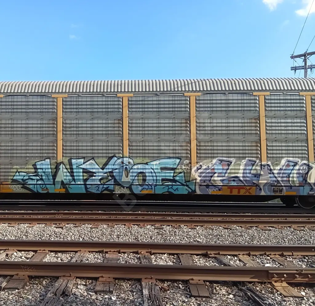 TTGX975592 - NORTH-AMERICA