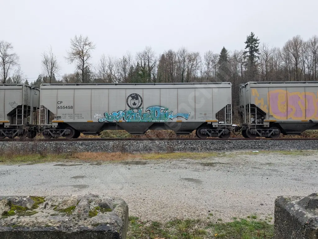 CP655458 - NORTH-AMERICA