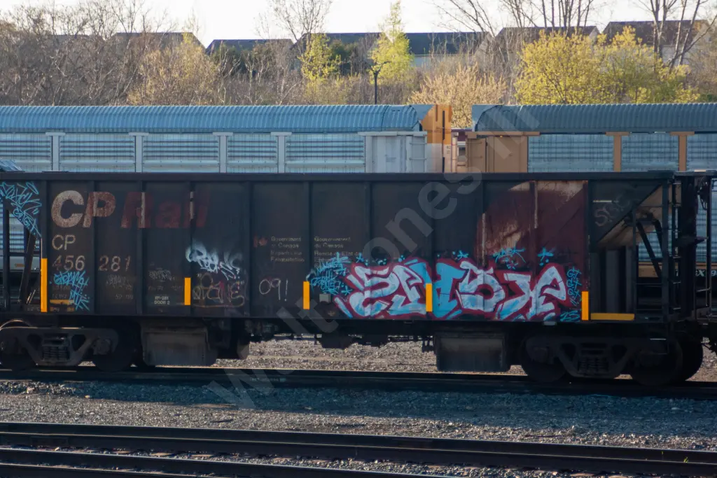 CP456281 - NORTH-AMERICA