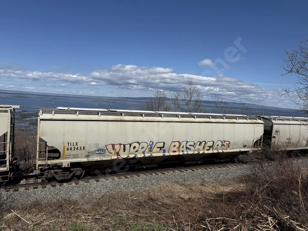 TILX642458 - NORTH-AMERICA