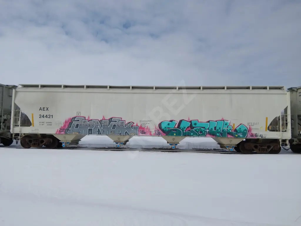 AEX24421 - NORTH-AMERICA