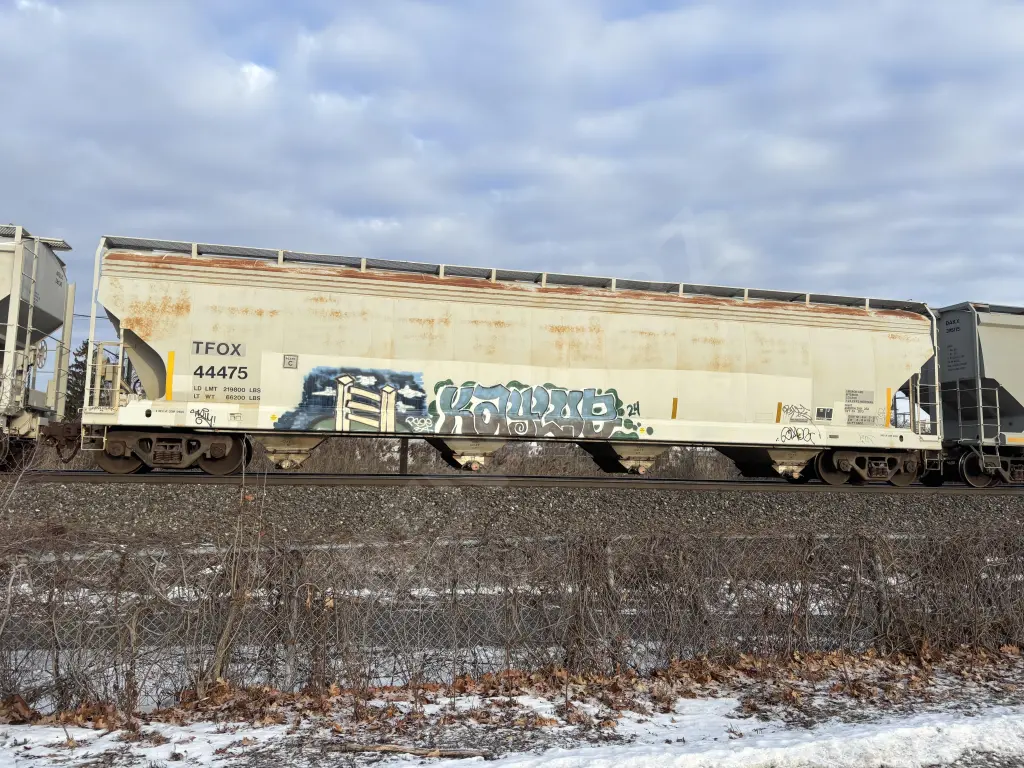 TFOX44475 - NORTH-AMERICA