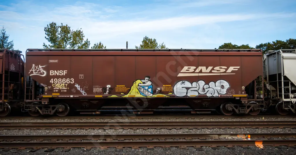 BNSF498663 - NORTH-AMERICA