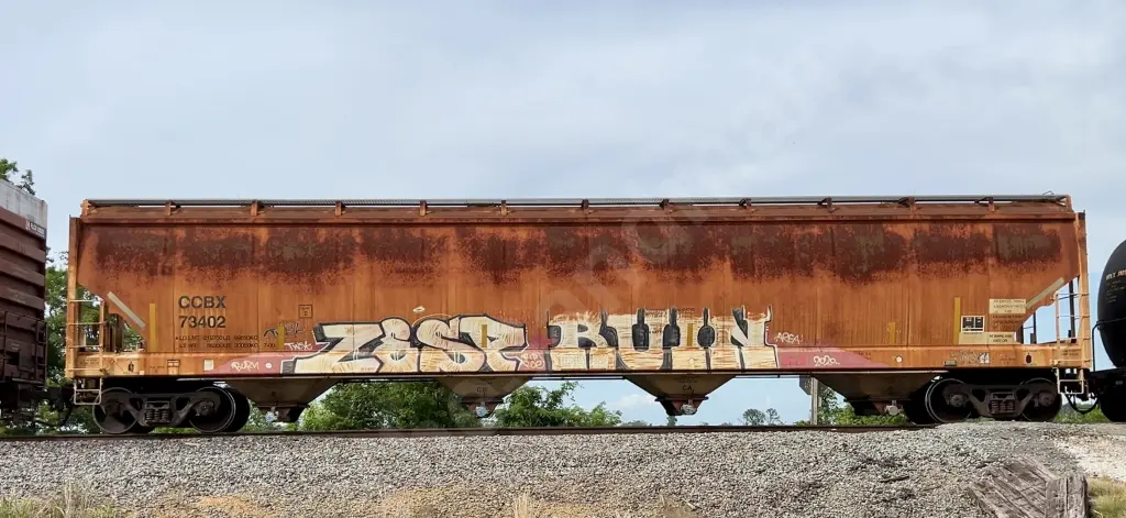CCBX73402 - NORTH-AMERICA