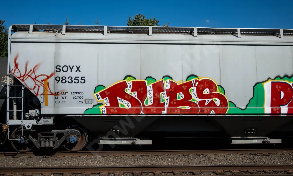 SOYX98355 - NORTH-AMERICA