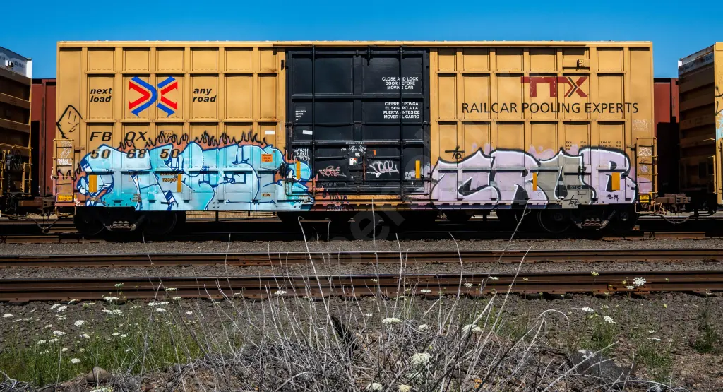 FBOX506850 - NORTH-AMERICA