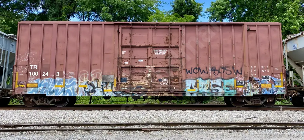 TR100243 - NORTH-AMERICA