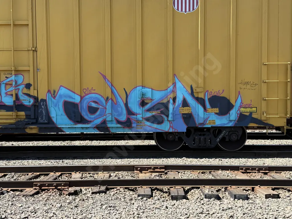 UP701679 - NORTH-AMERICA