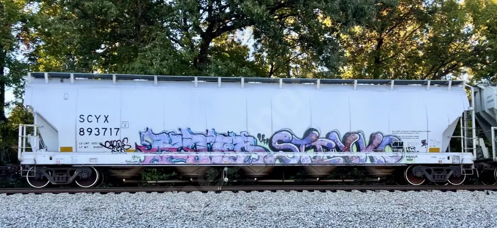 SCYX893717 - NORTH-AMERICA