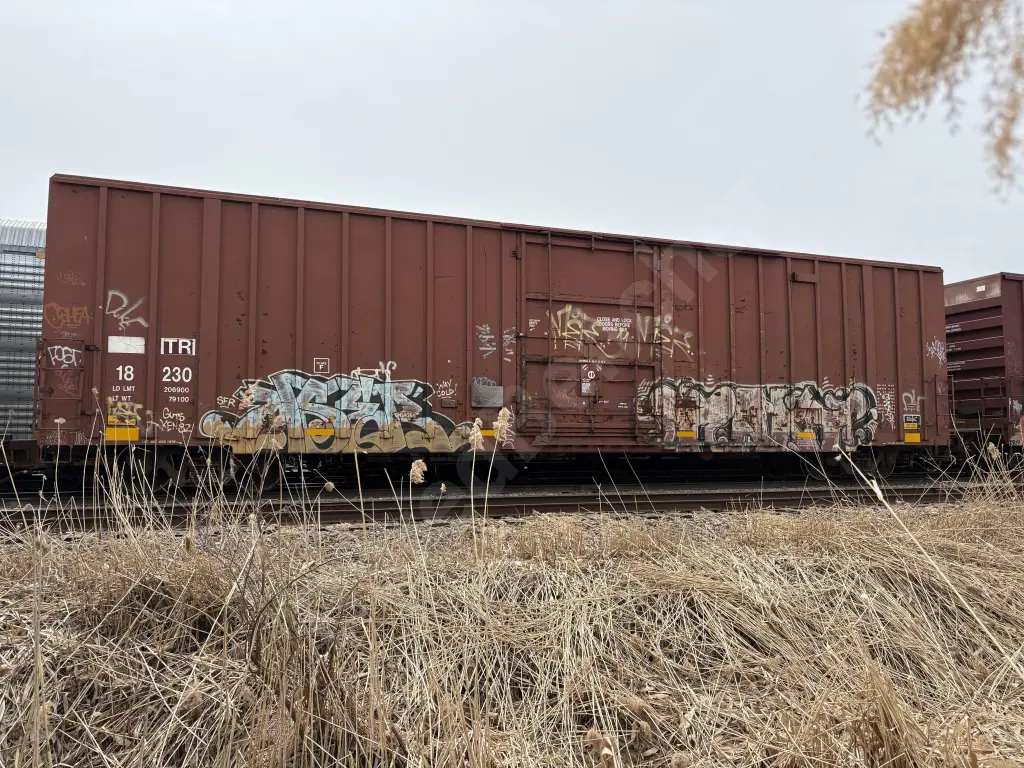 TR18230 - NORTH-AMERICA