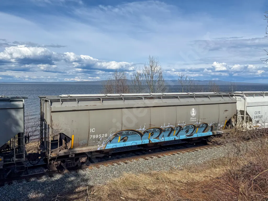 CN799528 - NORTH-AMERICA