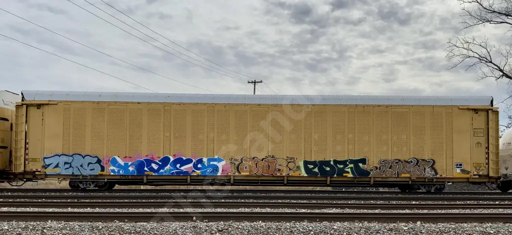 CPAA556119 - NORTH-AMERICA