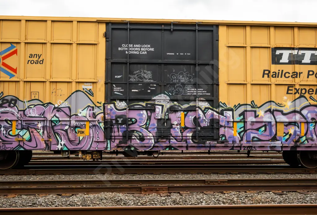 FBOX504728 - NORTH-AMERICA