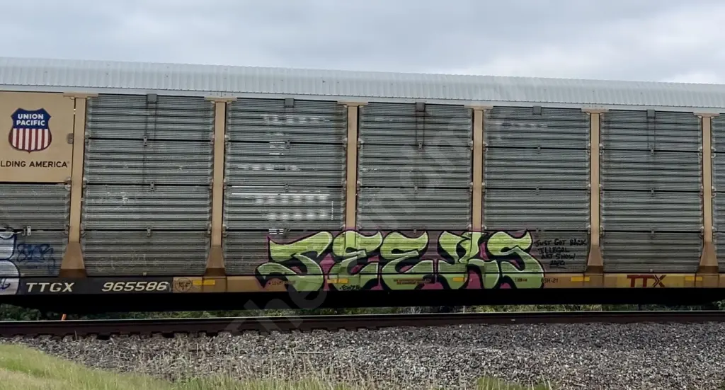 TTGX965586 - NORTH-AMERICA