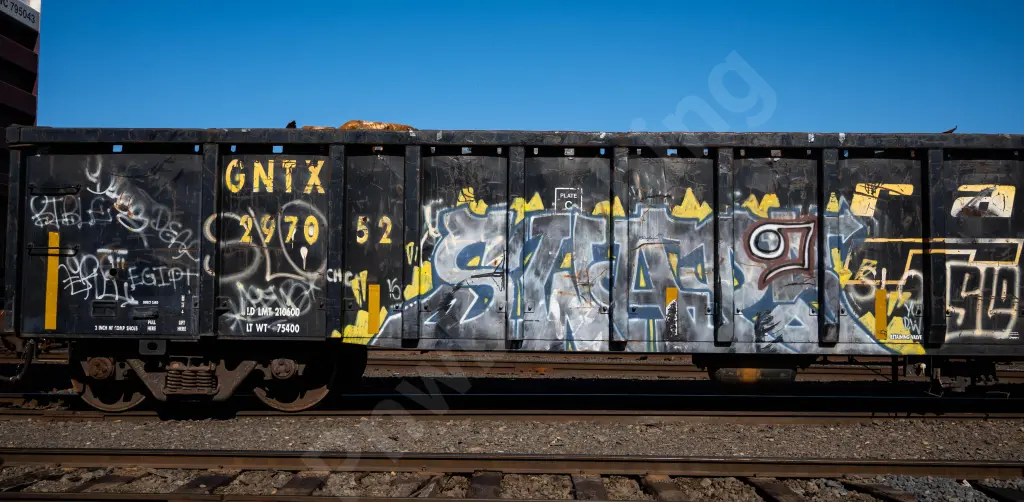 GNTX297052 - NORTH-AMERICA