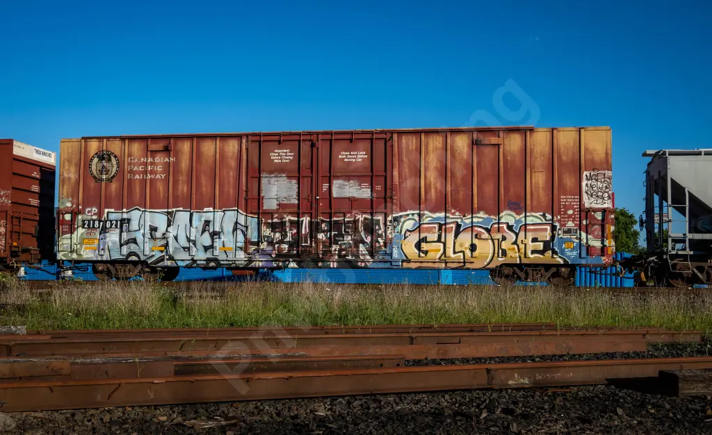 CP218021 - NORTH-AMERICA