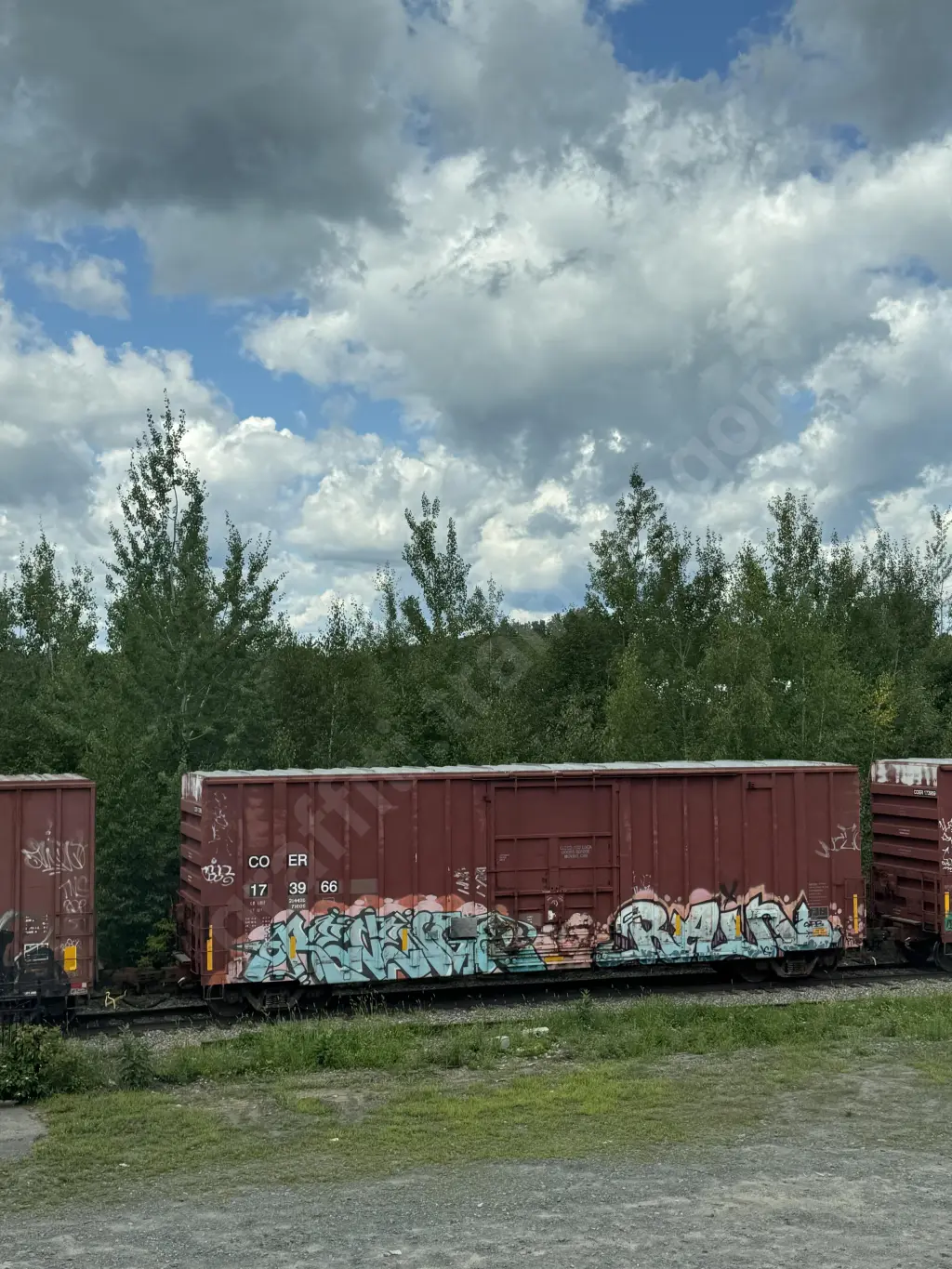 COER173966 - NORTH-AMERICA
