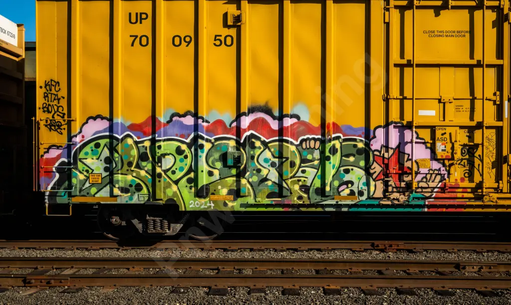 UP700950 - NORTH-AMERICA