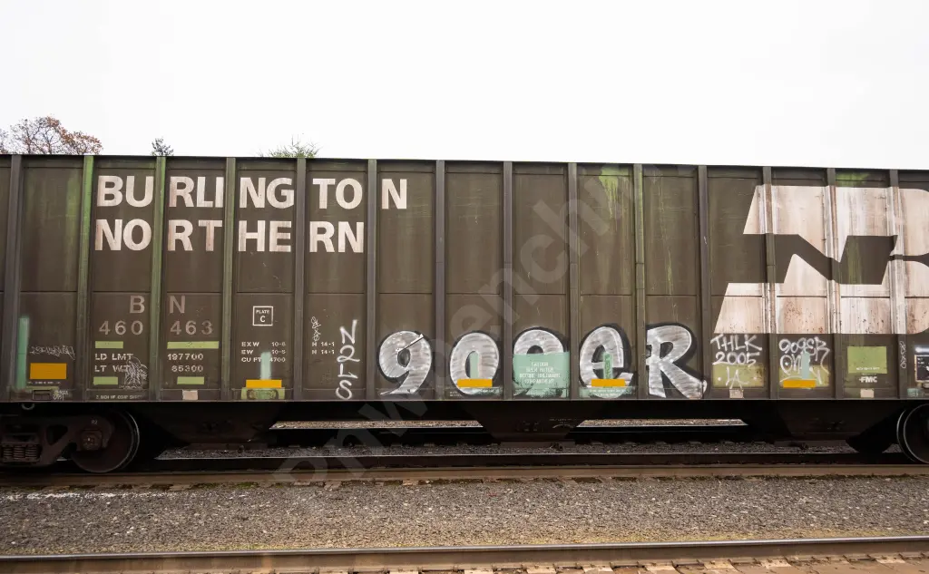 BN460463 - NORTH-AMERICA