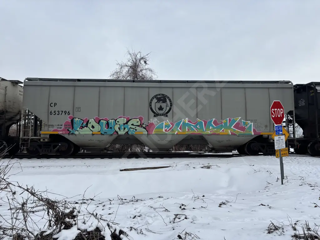 CP653796 - NORTH-AMERICA