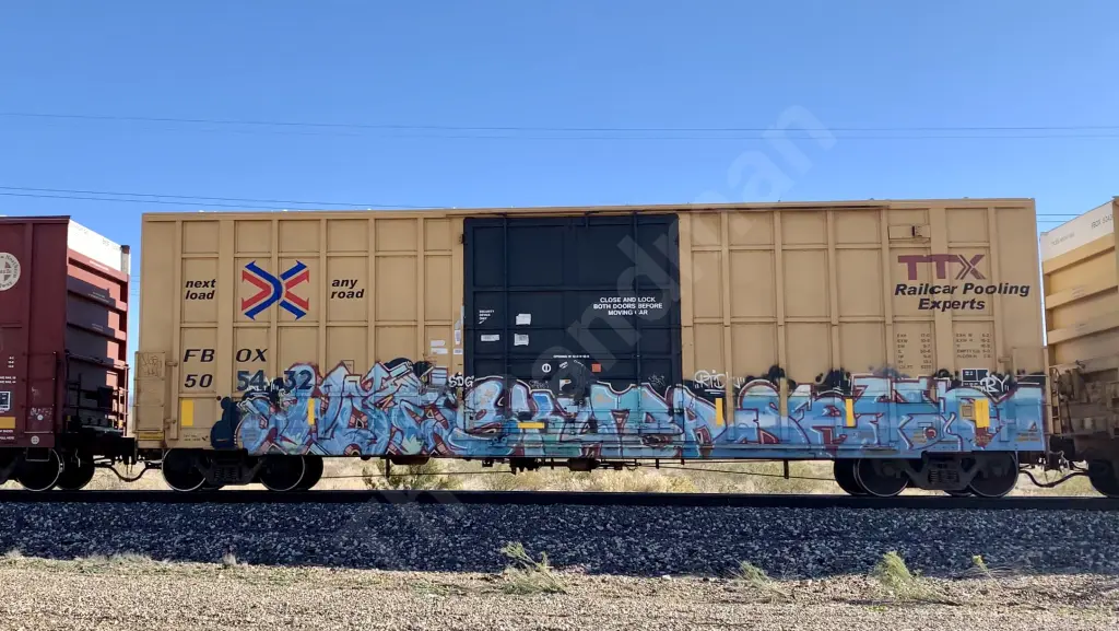 FBOX505432 - NORTH-AMERICA