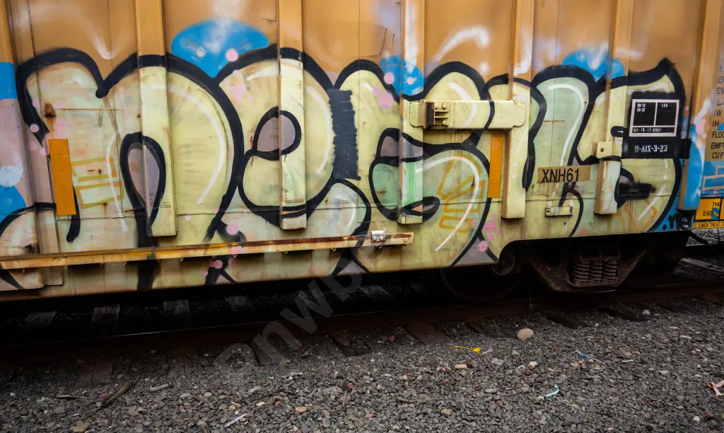 TBOX667299 - NORTH-AMERICA