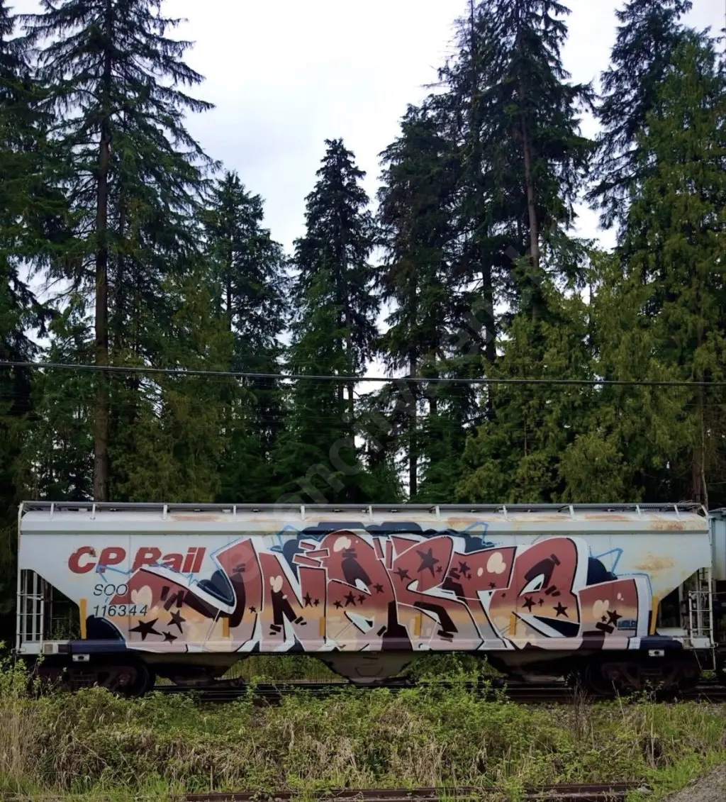 SOO116344 - NORTH-AMERICA
