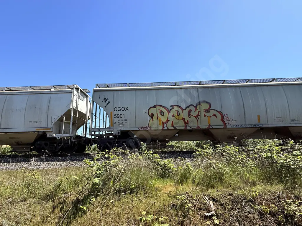 CGOX5901 - NORTH-AMERICA