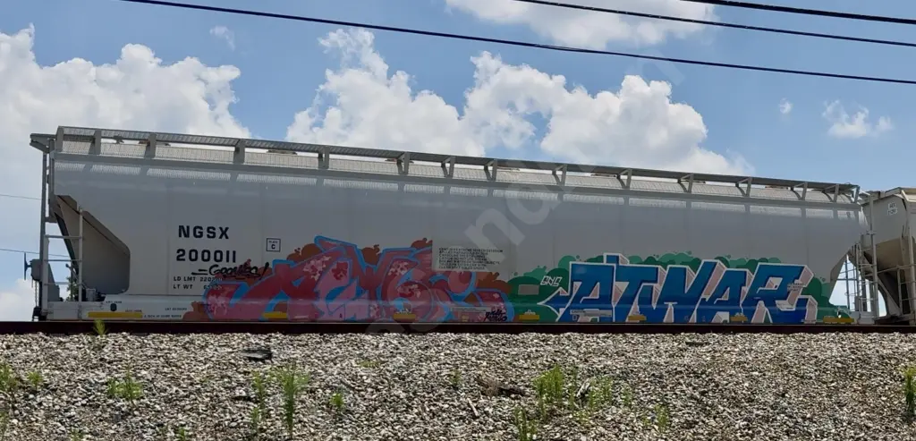 NGSX200011 - NORTH-AMERICA
