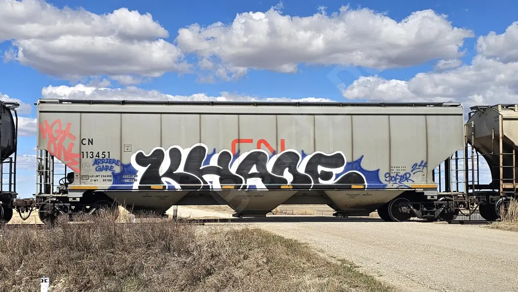 CN113451 - NORTH-AMERICA