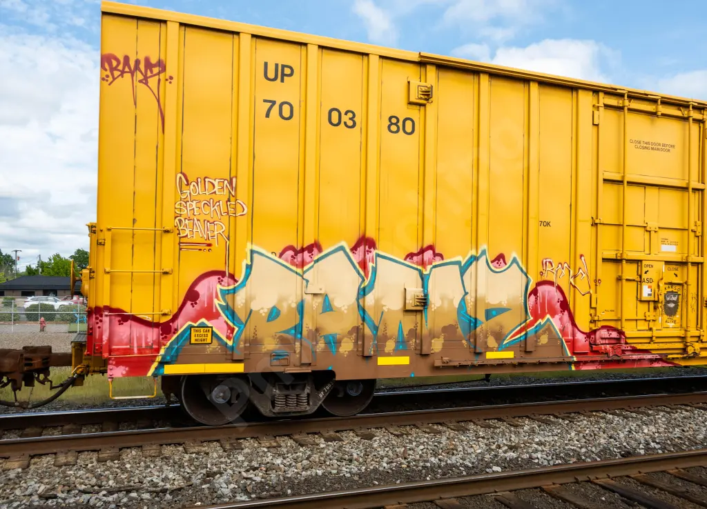 UP700380 - NORTH-AMERICA
